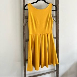 Apricity January Dress
